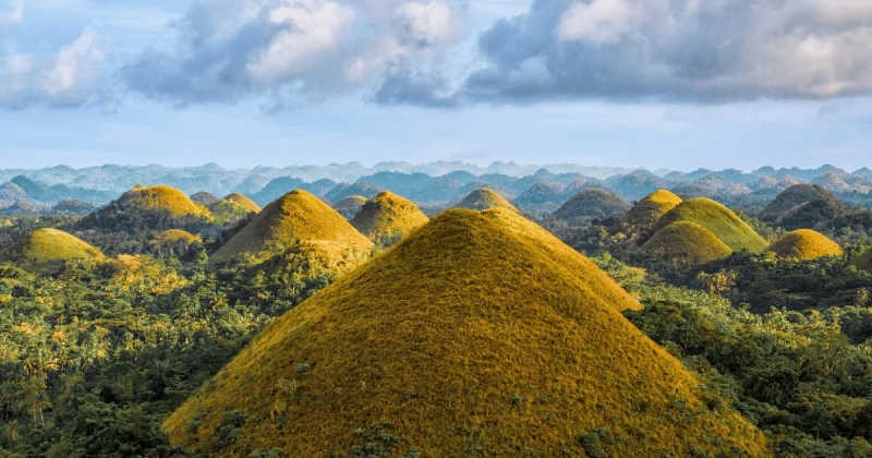 Scenic close-up view of the Chocolate Hills in Bohol, Philippines, showing the iconic green and golden mounds surrounded by lush forests and dramatic clouds