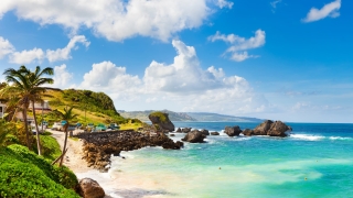 Scenic beach with turquoise water and rock formations in Bathsheba, Barbados.