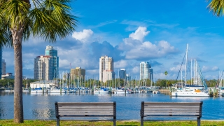 Benches under palm trees facing the St. Petersburg marina with sailboats and city skyline in the background.