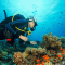 Scuba Diving in St. Lucia – Diver exploring colorful coral reefs and tropical fish in the Caribbean waters.