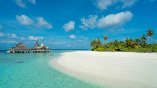 White sandy beach with palm trees and turquoise water, facing an overwater restaurant under a clear blue sky.