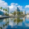 St. Petersburg, Florida waterfront with palm trees, tall modern buildings, and reflections in the water.