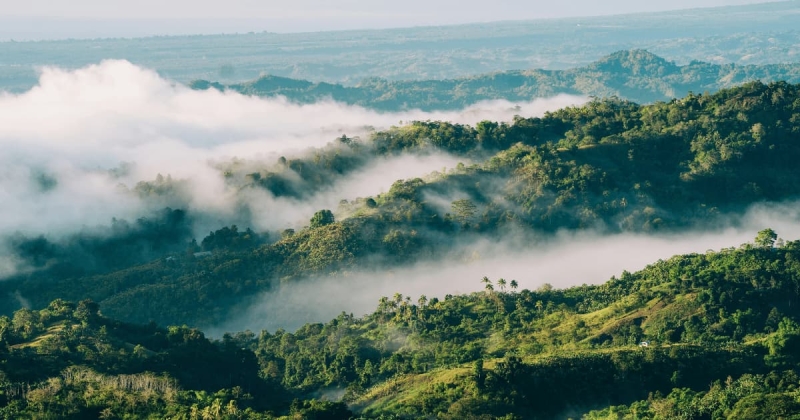 Morning mist weaves through the verdant mountains of the Philippines