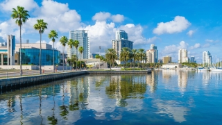 Downtown St. Petersburg, Florida waterfront with palm trees, high-rise buildings, and boats.