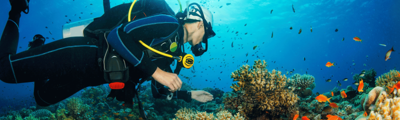 Scuba Diving in St. Lucia – Diver exploring colorful coral reefs and tropical fish in the Caribbean waters.