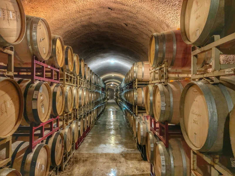 Wine country of Napa Valley