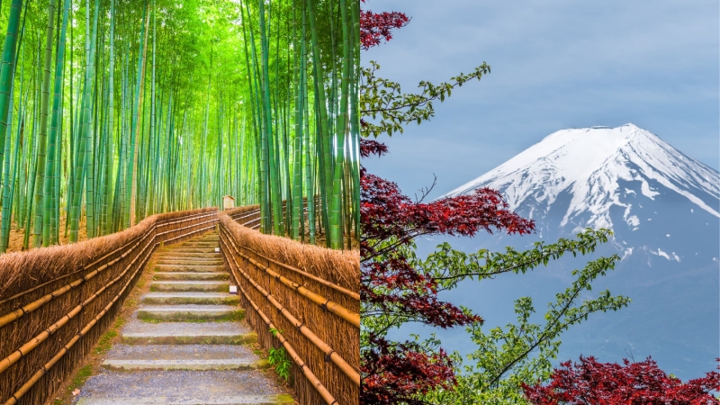 Breathtaking scenery in Japan