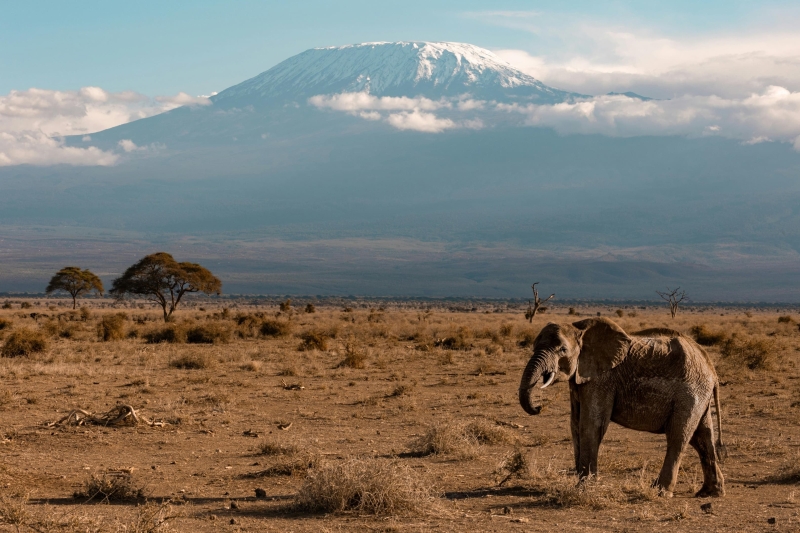 Tanzania