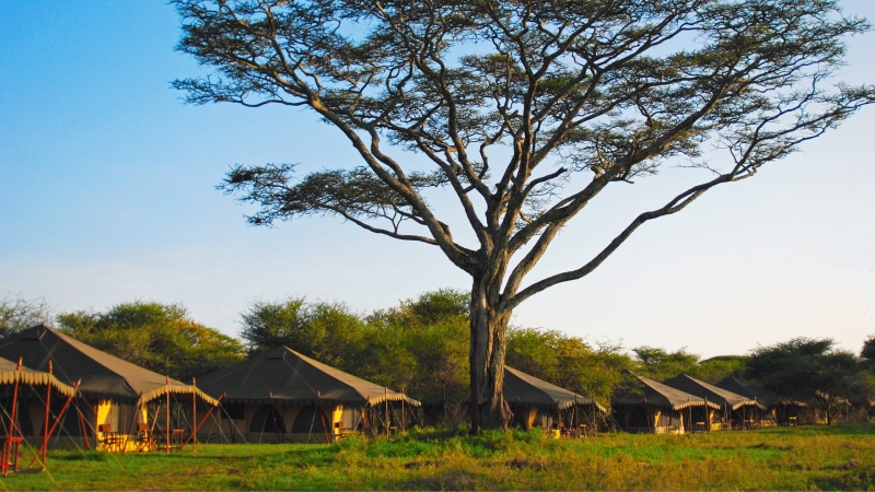 Mount Meru Game Lodge in Tanzania