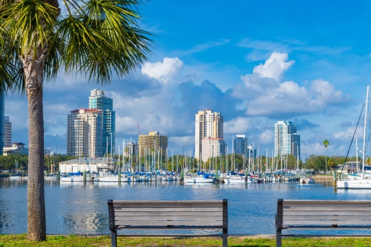 Benches under palm trees facing the St. Petersburg marina with sailboats and city skyline in the background.