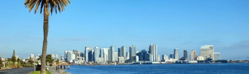 San Diego skyline view from the waterfront with palm trees along the bay in Southern California
