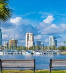 Benches under palm trees facing the St. Petersburg marina with sailboats and city skyline in the background.