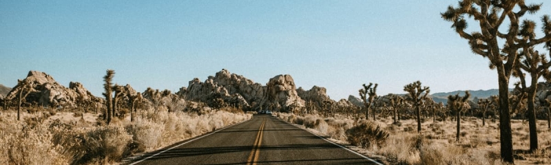 Scenic desert road through Joshua Tree National Park in California with Joshua trees and rocky mountains in the background