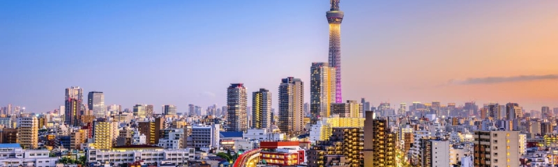 Tokyo skyline with Tokyo Skytree illuminated at sunset, Japan