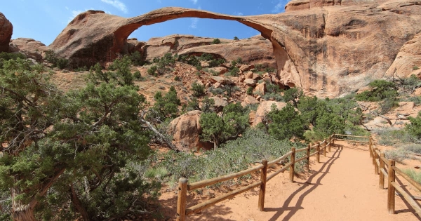 Scenic view of Landscape Arch along the hiking trail in Arches National Park, Utah, USA, surrounded by desert vegetation and red rock formations.