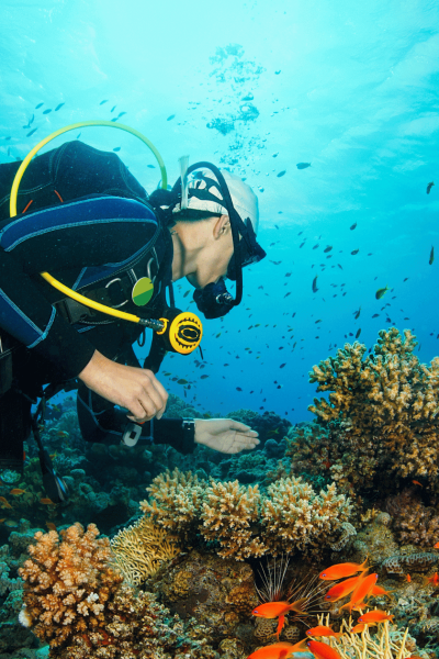 Scuba Diving in St. Lucia – Diver exploring colorful coral reefs and tropical fish in the Caribbean waters.