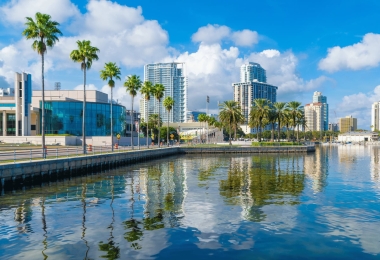 Downtown St. Petersburg, Florida waterfront with palm trees, high-rise buildings, and boats.
