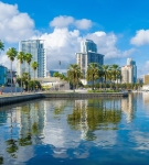 Downtown St. Petersburg, Florida waterfront with palm trees, high-rise buildings, and boats.