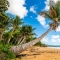 11 Best Resorts in Puerto Rico for Your Dream Getaway