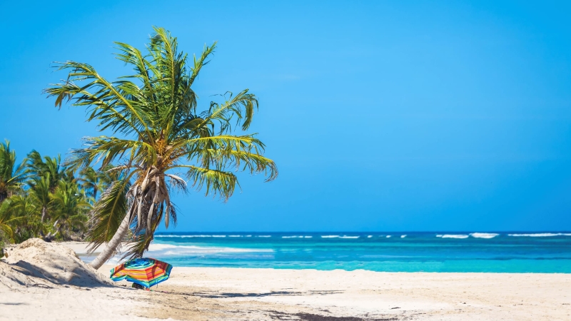 11 Best Resorts in Puerto Rico for Your Dream Getaway